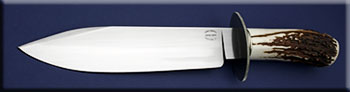 KCCM000-stag-bowie-solo.jpg