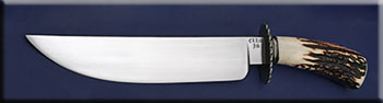 KSEL004-stag-bowie-solo.jpg