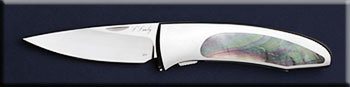 KSSB011-blp-tern-solo.jpg