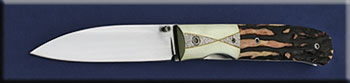 KWDP034-stag-LL-solo.jpg
